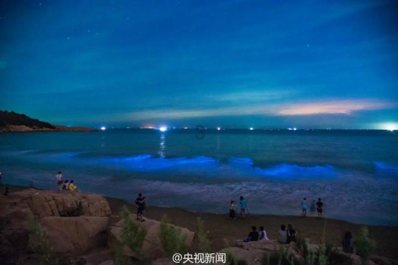 燃烧吧大脑装瓶子游戏